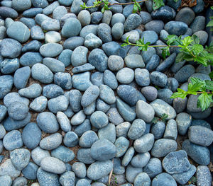 Full frame shot of pebbles outdoors