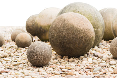 Close-up of stones on rocks