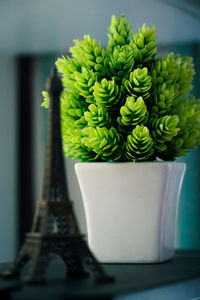 Close-up of potted plant