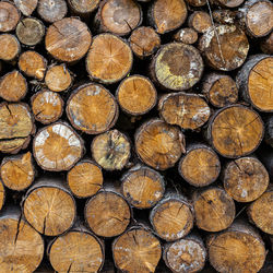 A stack wall of wooden logs texture background