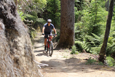 Man riding bicycle in forest