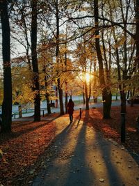 Rear view of silhouette woman walking on autumn trees