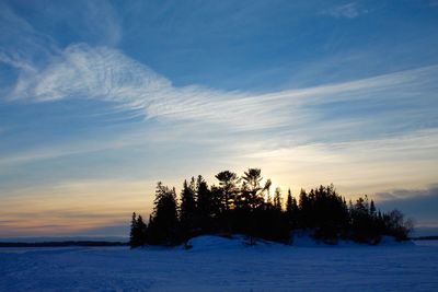 Trees on snow covered landscape against sky