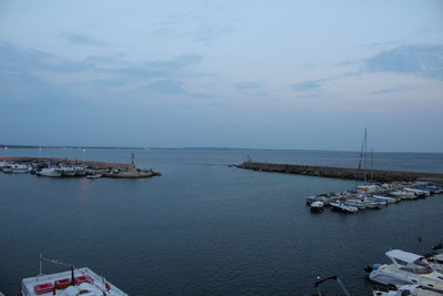 Sailboats moored in harbor