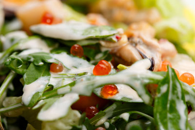 Close-up of meal served in plate