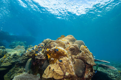 High angle view of sea