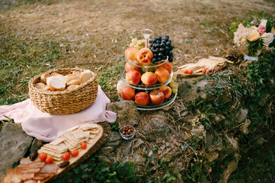 High angle view of fruits in basket on field