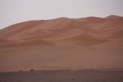 Scenic view of desert