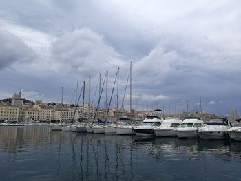 Sailboats moored in harbor