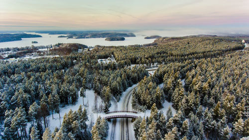 Aerial view of forest in winter at sunrise 