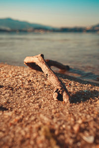 Close-up of rusty metal on beach against sky