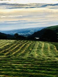 Scenic view of agricultural field against sky