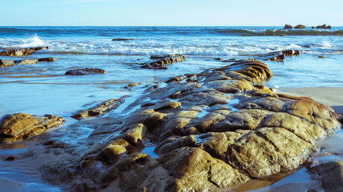 Surface level of rocks on beach against sky