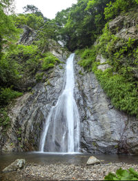 Scenic view of waterfall in forest