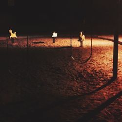 Scenic view of beach on field at night