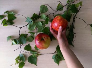 Cropped hand holding apple over leaves at table