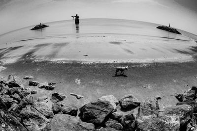 Woman on rock at seaside