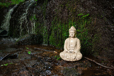 Buddha statue on rock against trees