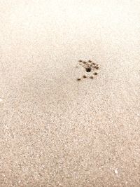 High angle view of a sand