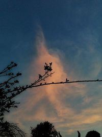 Low angle view of silhouette tree against sky at sunset