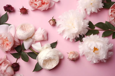 Close-up of flowers