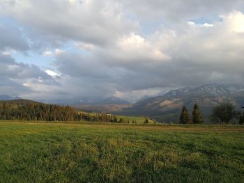 Scenic view of field against sky