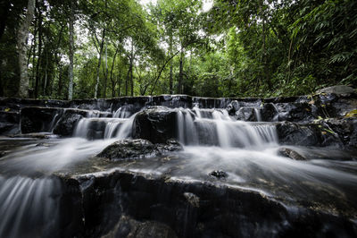 Low angle view of waterfall in forest against sky