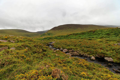 Scenic view of landscape against sky