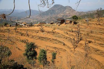 Terraced field by mountains