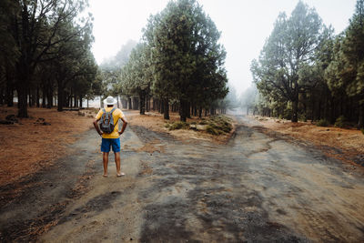 Rear view of man walking on road