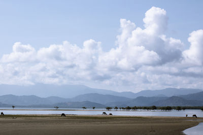 Scenic view of beach against sky