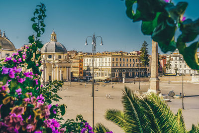 Plants in front of historic building