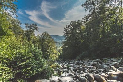 Scenic view of mountain against sky