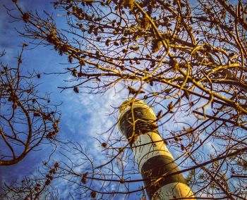 Low angle view of bare trees against sky