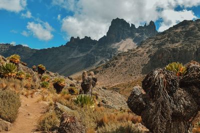 Panoramic view of landscape against sky at mount kenya national park 