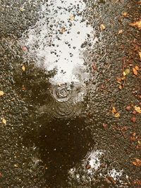 High angle view of raindrops on puddle