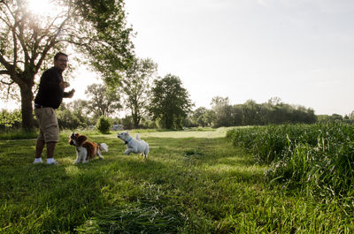 Man with dogs on field against sky