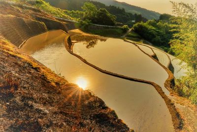 Scenic view of river amidst trees against sky