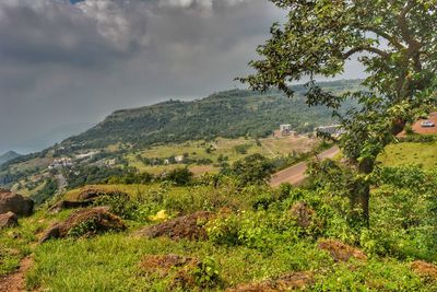 Scenic view of landscape against sky