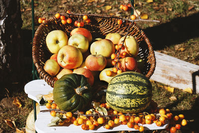 High angle view of fruits on field