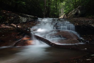 Waterfall in forest