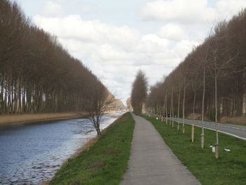 Footpath amidst trees against sky