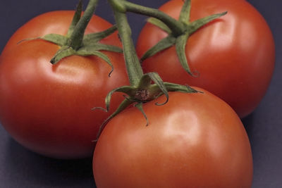 Close-up of tomatoes