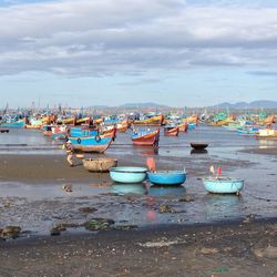 Boats moored at harbor against sky