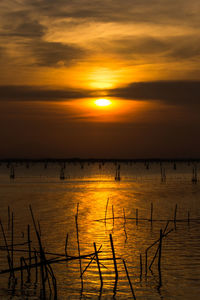 Scenic view of sea against orange sky