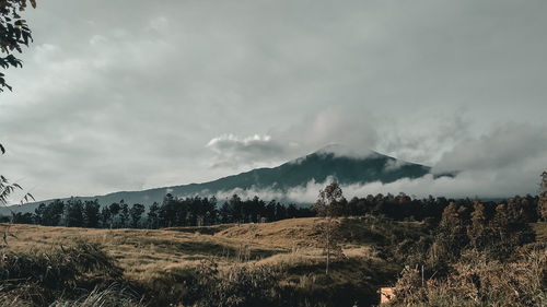 Scenic view of landscape against sky