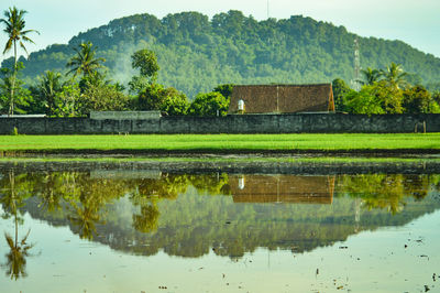 Morning reflection mount tidar