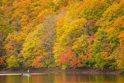 Scenic view of lake in forest during autumn