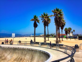 People by palm trees against clear blue sky