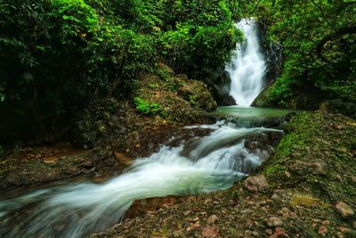 View of waterfall in forest